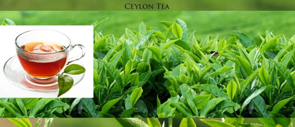 Ceylon Tea 2
