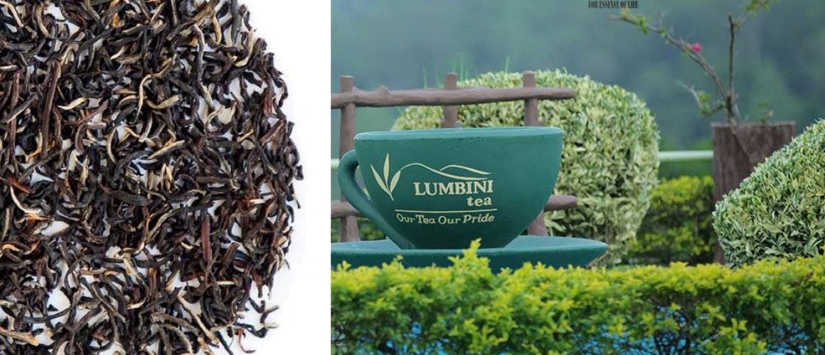 Lumbini-Tea-11-3 (1)